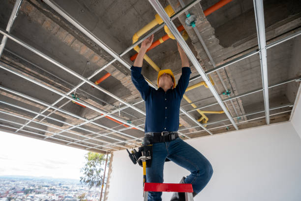Best Clogged Drain Plumber  in Wintersville, OH